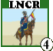 Light Lancer Cavalry